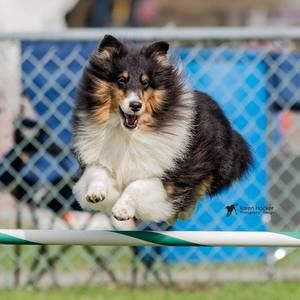 Meet your Posher, Onnaka